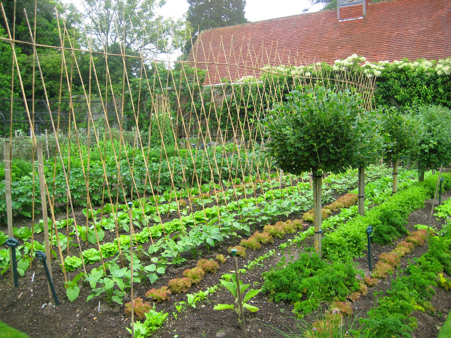 Kitchen Garden Week Pashley Manor Gardens