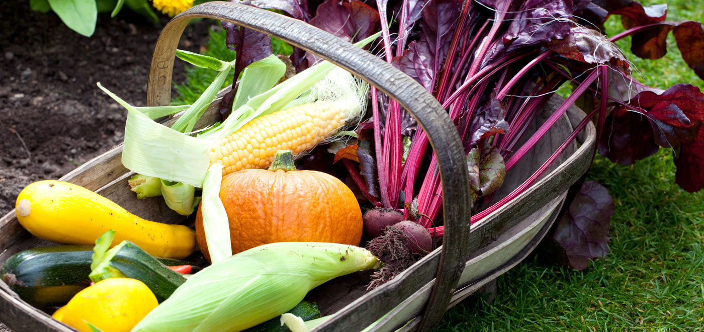 PASHLEY MANOR GARDENS Colourful Trug By Leigh Clapp