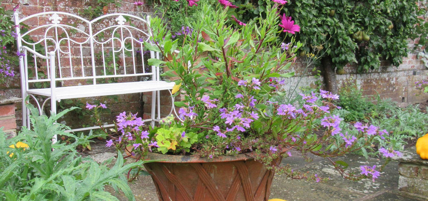 Pashley Manor Gardens Kitchen Garden Pot By Kate Wilson