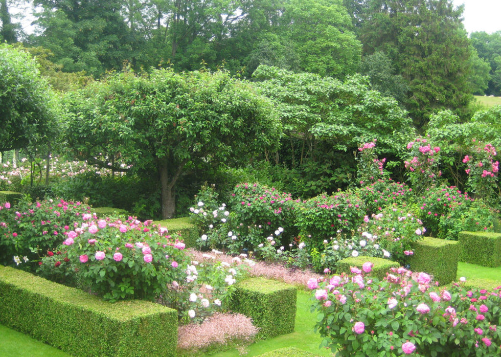 PASHLEY-MANOR-GARDENS-Rose-Garden-by-Kate-WIlson - Pashley Manor Gardens
