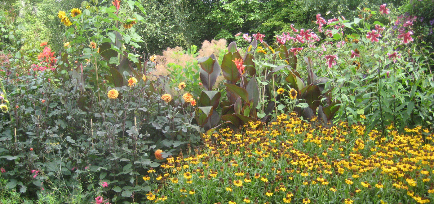 PASHLEY MANOR GARDENS Early Autumn Borders By Kate Wilson