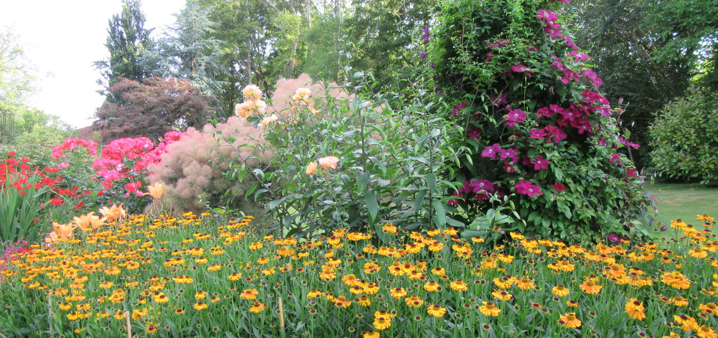 PASHLEY MANOR GARDENS Herbaceous Borders Early July By Kate Wilson